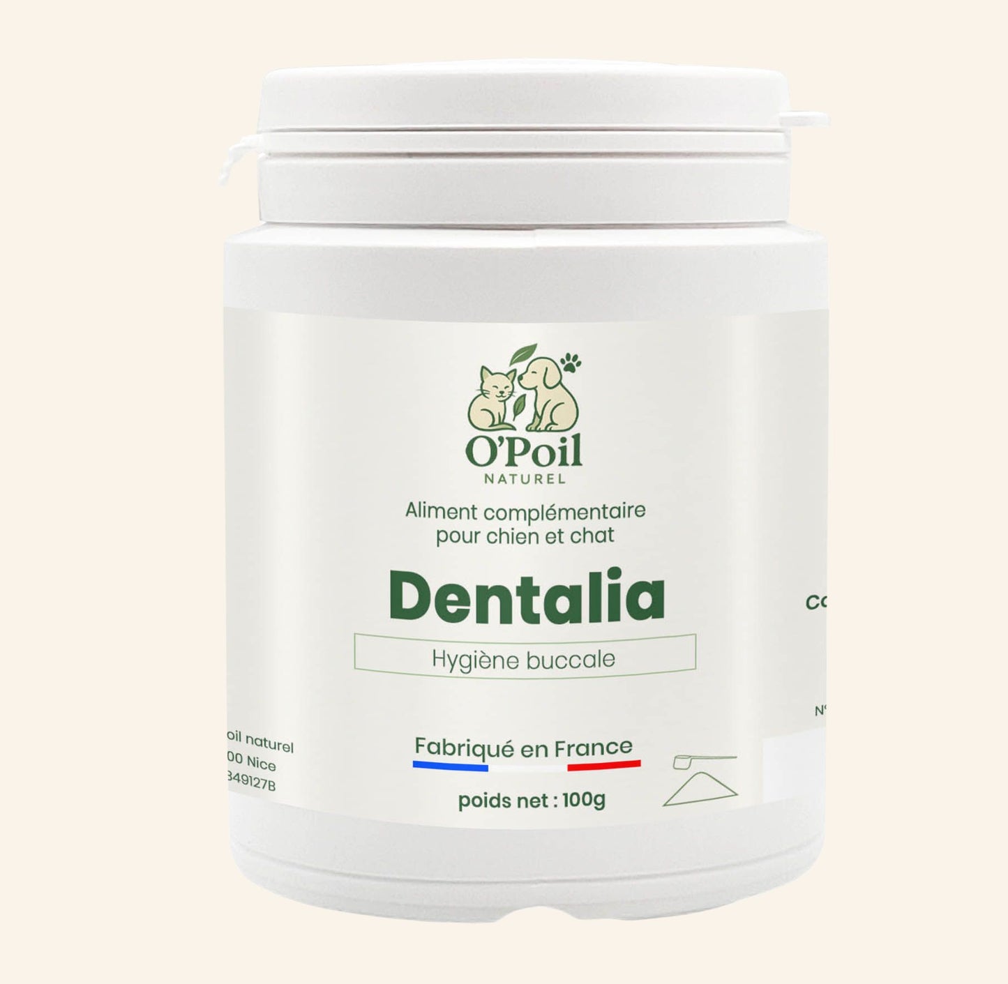 Dentalia