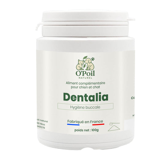 Dentalia