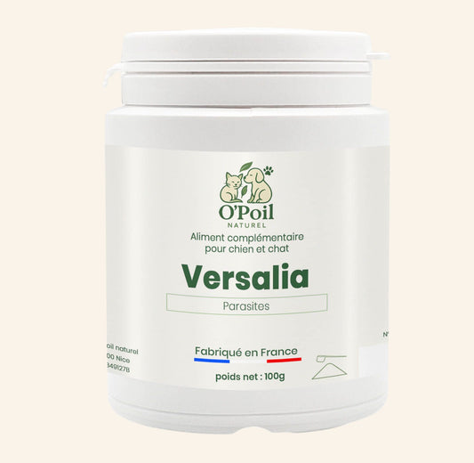 Versalia