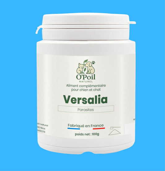 Versalia