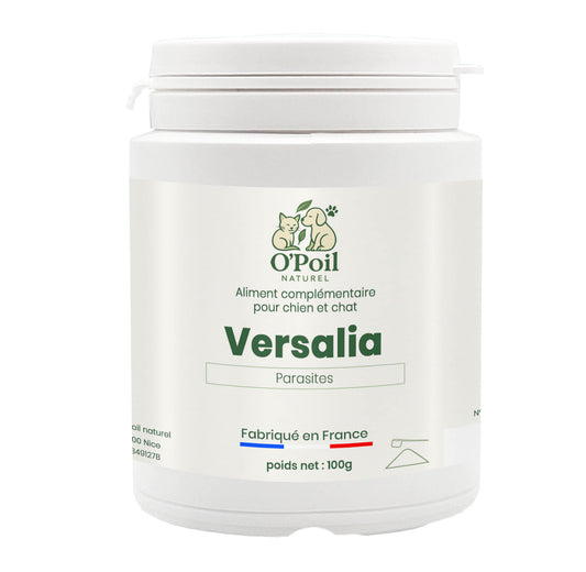 Versalia
